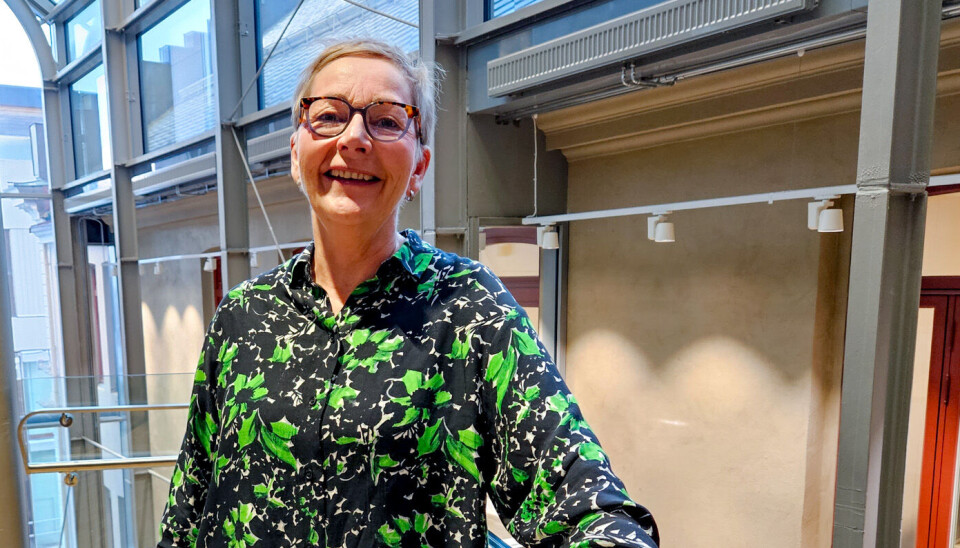Konsernsjef i Sparebank 1 Nord-Norge, Liv B. Ulriksen.