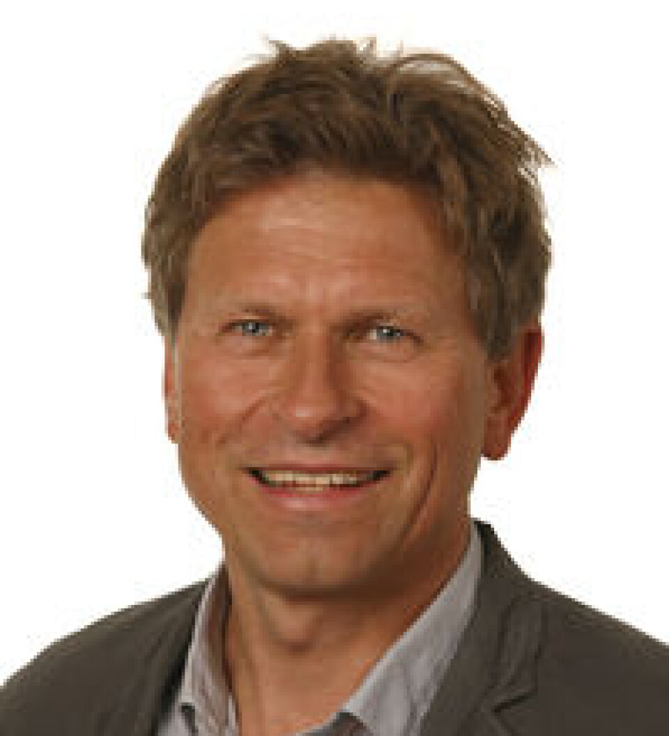 Professor ved Økonomisk Institutt på UiO, Gaute Torsvik.