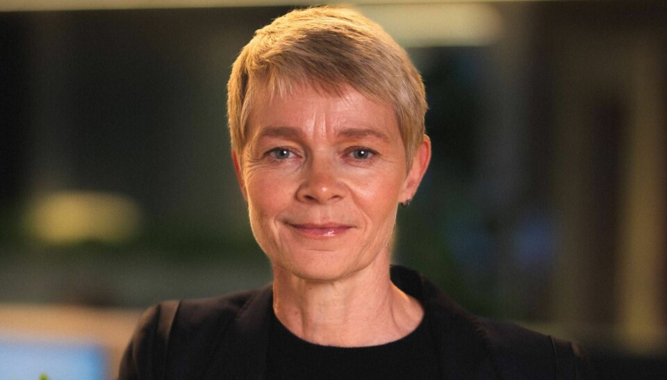 Administrerende direktør i Pareto Bank, Tiril Haug Villum.