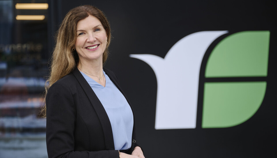 Administrerende banksjef i Romerike Sparebank, Siri Berggreen.