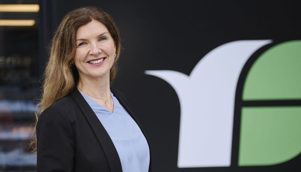 Administrerende banksjef i Romerike Sparebank, Siri Berggreen.