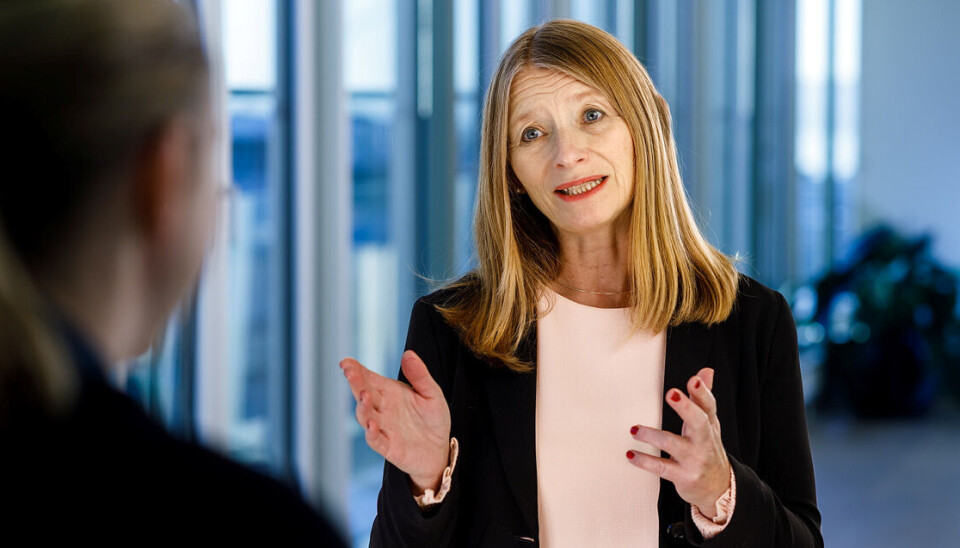 Forbrukerdirektør i Finans Norge og styreleder i Finaut, Gry Nergård.
