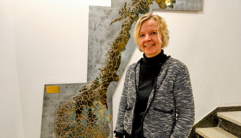 Administrerende direktør i Sparebank 1 Helgeland, Hanne Nordgaard.