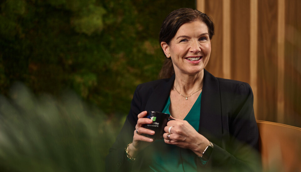 Administrerende banksjef i Romerike Sparebank, Siri Berggreen.