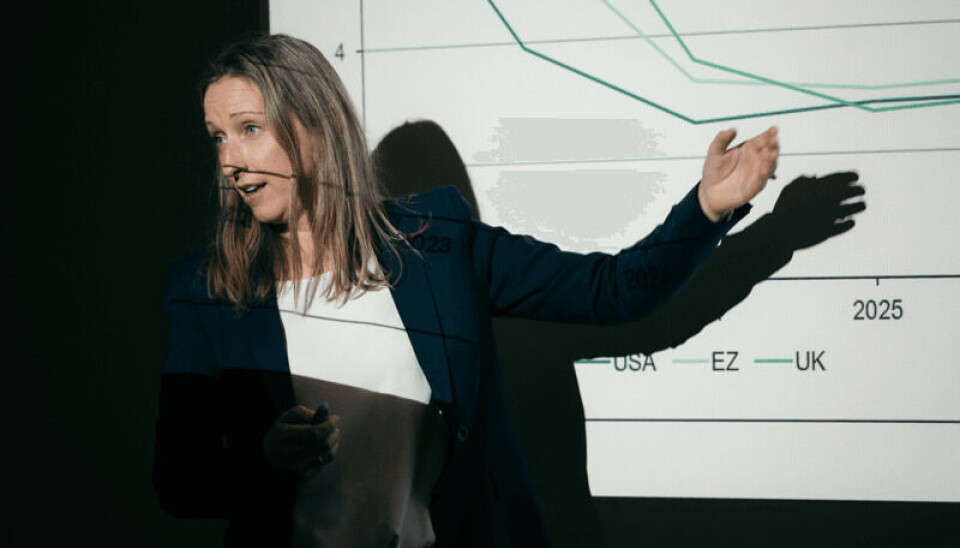 Sjeføkonom Kjersti Haugland i DNB Markets.