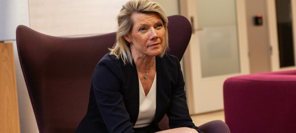 DNB meldte 3.478 forhold til Økokrim i fjor: – Økt villighet til å bruke vold og trusler