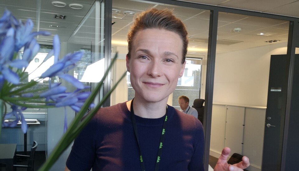 Konserndirektør for virksomhetsstyring bank i Eika, Marianne Groth,