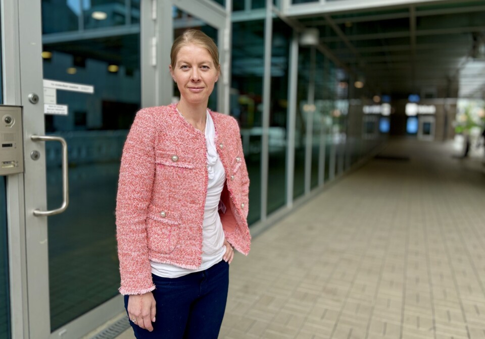 Kristine Frivold Rørholt, leder for økonomisk kriminalitets-etterlevelse i DNB.