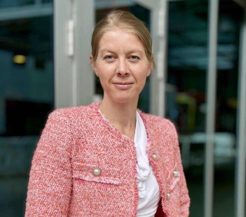 Kristine Frivold Rørholt, leder for økonomisk kriminalitets-etterlevelse i DNB.