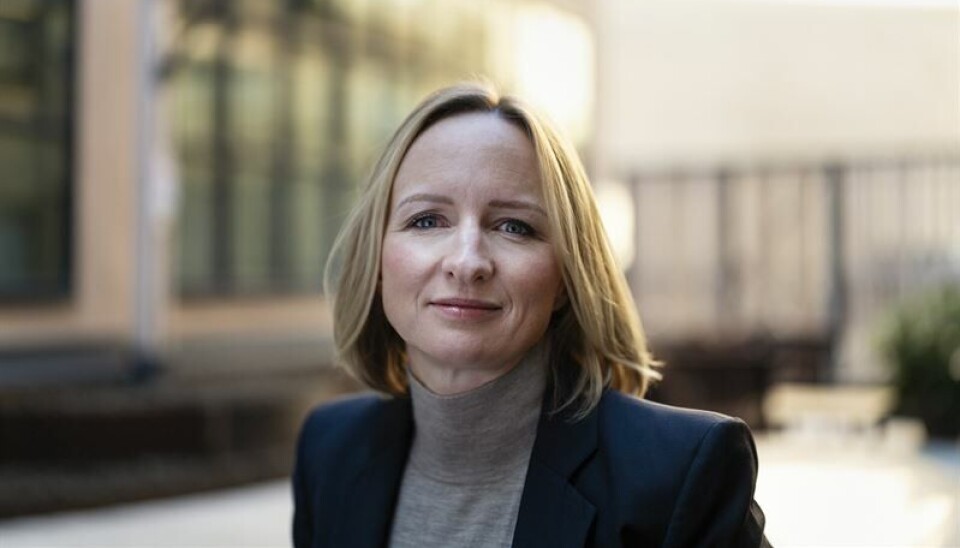 Norgessjef Mari Rindal Øyen i Nordnet.