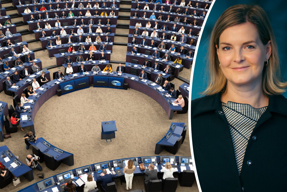 Direktør for myndighets- og samfunnskontakt i EU for DNB.