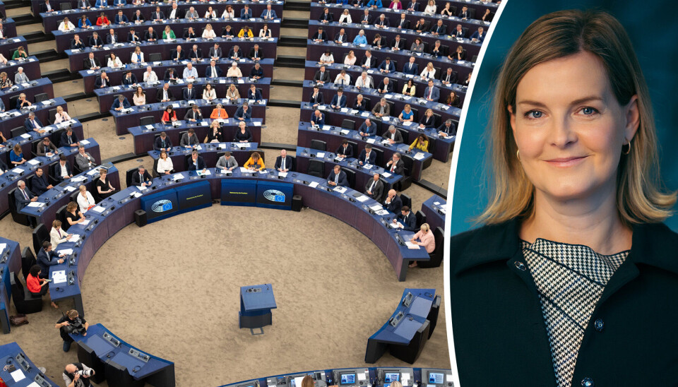 Direktør for myndighets- og samfunnskontakt i EU for DNB.