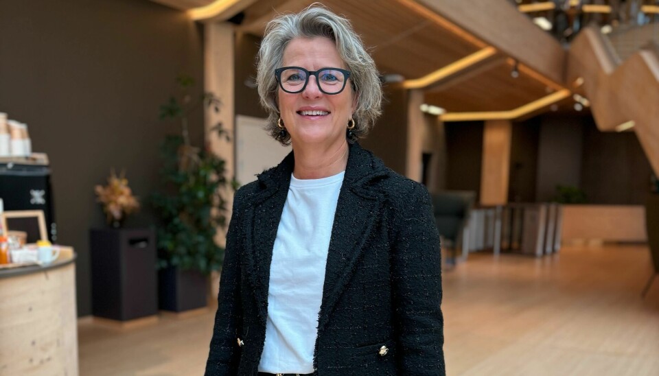 Benedicte Schilbred Fasmer var øverste leder i Sparebank 1 Sør-Norge den tiden svindelen fant sted og får nå kritikk for ikke å ha gjort mer.