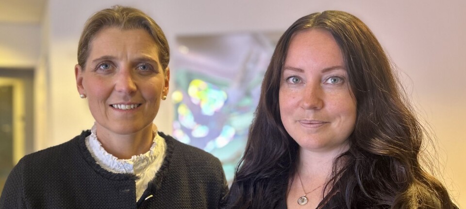 Eika lanserer eget senter for antihvitvask: – Vil erstatte dyre konsulenter