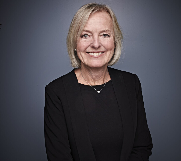 Forsker og prosjektleder for En bra dag på jobb, Elisabeth Goffeng, ved STAMI.