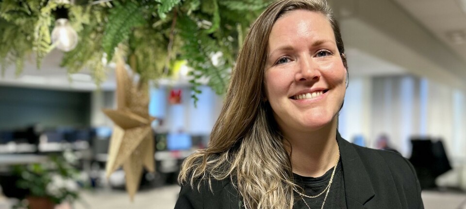 Disse banktjenestene er på vei inn i Storebrands Kron