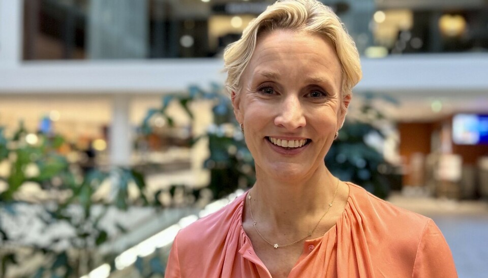 Marjamaa åpen for flere oppkjøp: – Vi er ikke ferdig