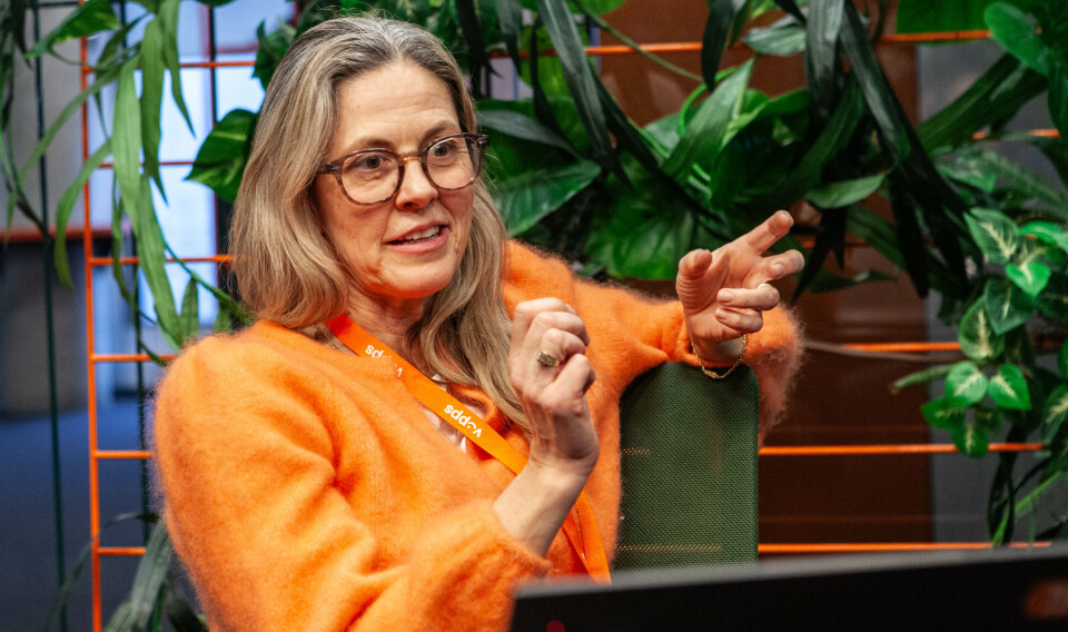 Hege Hagen, leder for antihvitvasking og svindelbekjempelse i Vipps Mobilepay har sett en kraftig reduksjon av antallet Olga-svindelsaker det siste året.