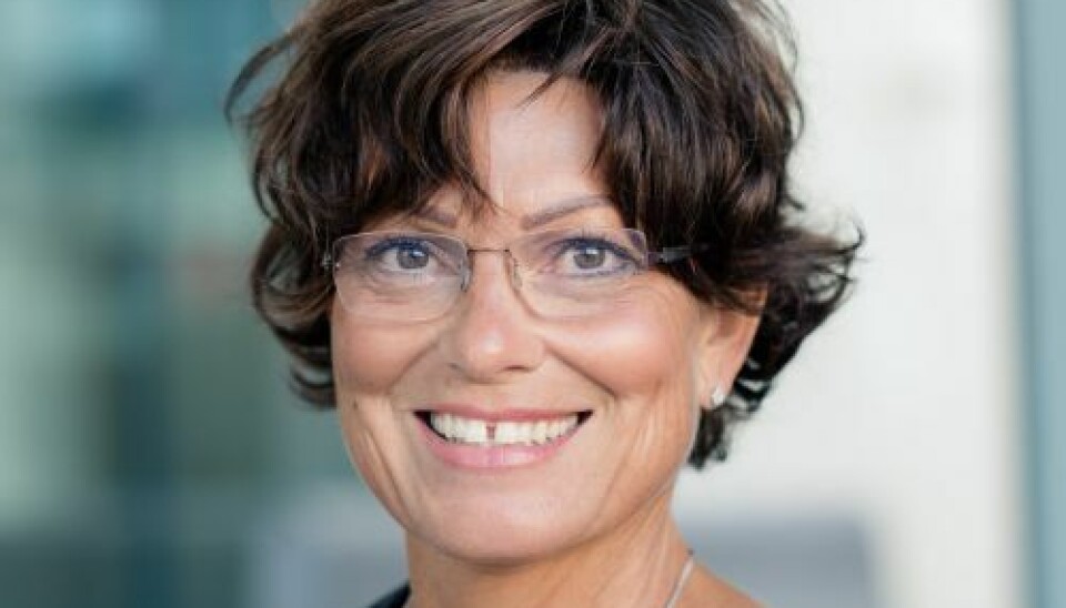 Marianne Sevaldsen er adm. dir. i KLP Banken. Marianne Sevaldsen er adm. dir. i KLP Banken.