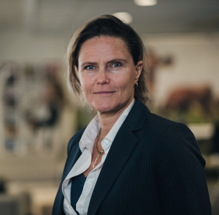 Jannicke Amundsen Bricaud, konserndirektør for salg og kunde i Landkreditt Bank.