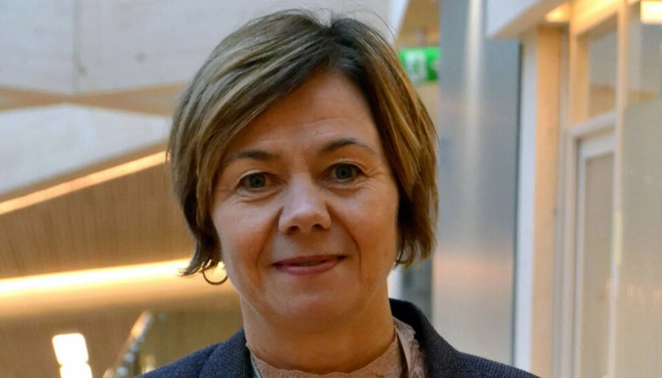 Inglen Haugland, leder for AML-system og analyse i Sparebank 1 Sør-Norge