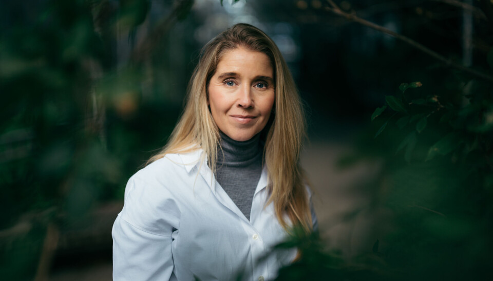 Administrerende direktør i DNB Livsforsikring, Anette Hjertø. Administrerende direktør i DNB Livsforsikring, Anette Hjertø.