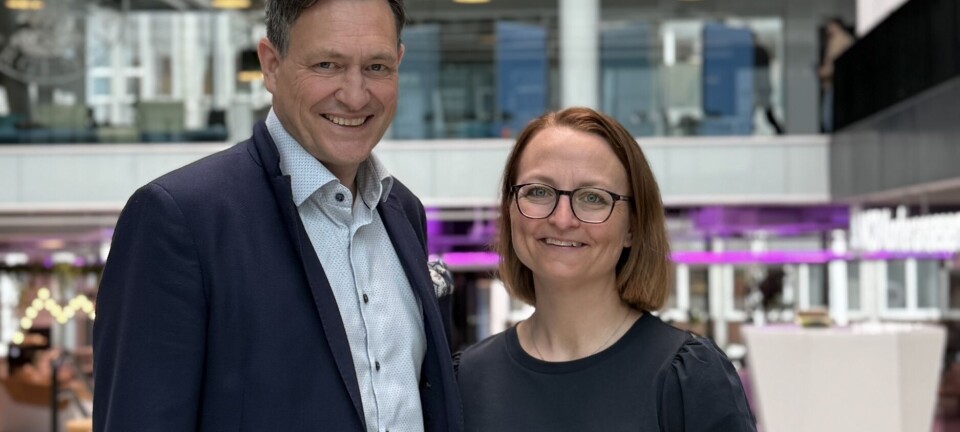 Hun blir ny finansdirektør i Heder Bank