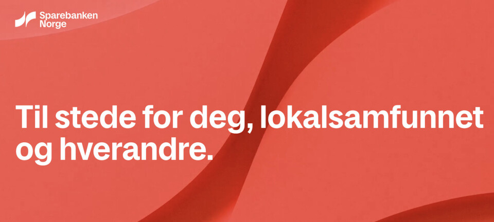 Storbankens nye hjem på Internett