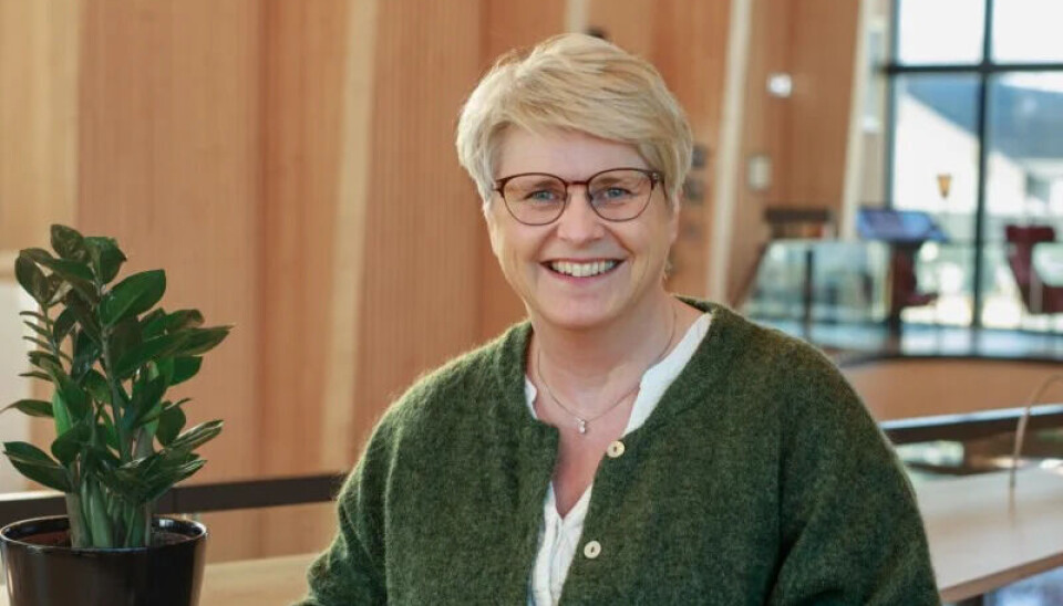 Lena Grinna, teknologiansvarlig i Odal Sparebank, deltar aktivt i Eikas KI-ambassadørprogram.