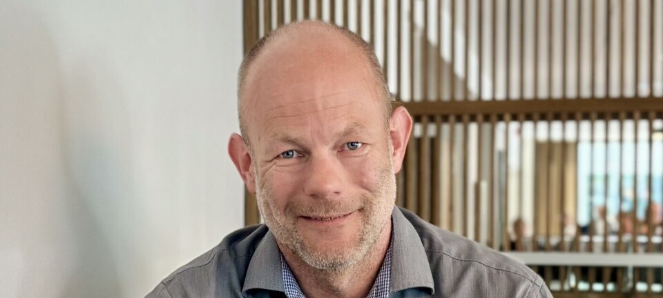 Norgespris uten prissignaler er en sovepute – ikke en løsning