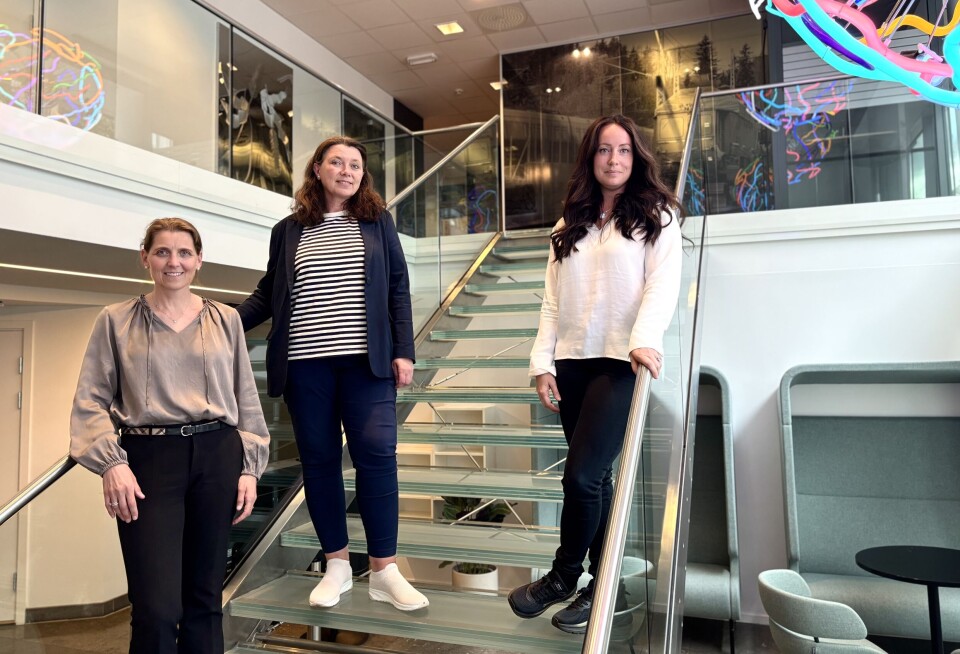 Fra venstre: Lene Kristiansen, konserndirektør Risikostyring og compliance i Eika, Karin Bråthen, leder for avdeling bankdrift i Aurskog Sparebank, og Julie Odden, som er ansvarlig for antihvitvaskingarbeidet i Eika. Fra venstre: Lene Kristiansen, konserndirektør Risikostyring og compliance i Eika, Karin Bråthen, leder for avdeling bankdrift i Aurskog Sparebank, og Julie Odden, som er ansvarlig for antihvitvaskingarbeidet i Eika.