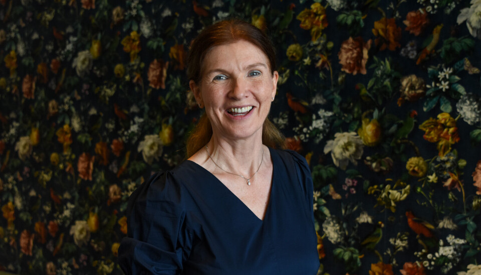Administrerende banksjef i Romerike Sparebank, Siri Berggreen.