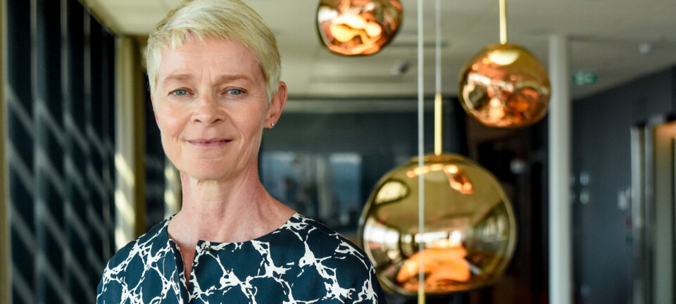 Tross fortsatt fall i utlån øker Pareto Bank resultatet