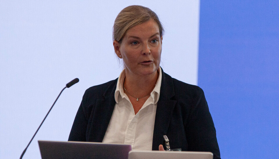 Inger Johanne Rygh, direktør for myndighets- og samfunnskontakt i EU i DNB