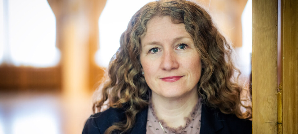 Vil beholde fleksibilitetskvoten: – Den faktiske bruken av kvotene er et stykke under de øvre grensene