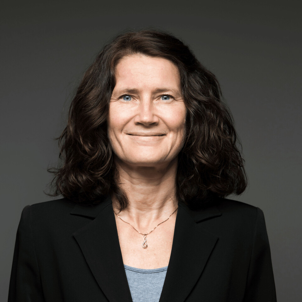 Hilde Nødseth, administrerende direktør i Borea. Hilde Nødseth, administrerende direktør i Borea.