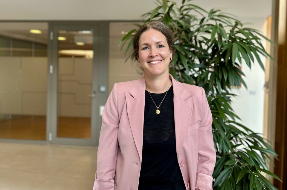 Storebrand Bank-sjef Camilla Leikvoll fortsetter å levere gode tall. Camilla Leikvoll i Storebrand