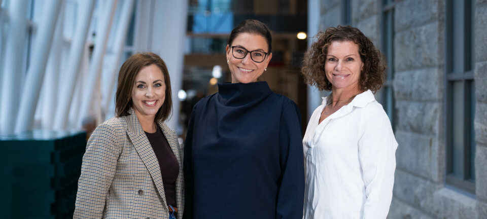 Vant helsepris – nå henter Induvita kommersiell direktør for internasjonal vekst