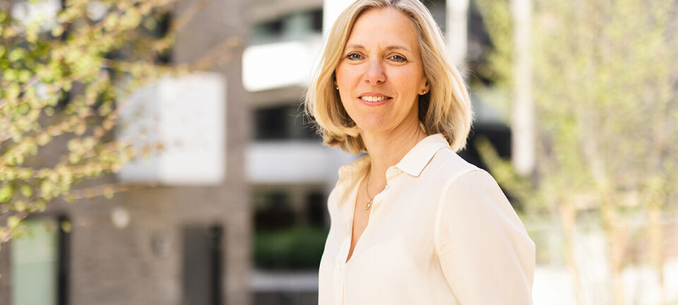 Tidligere DNB-topp blir konsernsjef i Obos